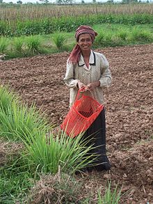 Une femme de Khmer en habit quotidien